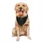 Black Green Bay Packers Jayden Reed   Service Dog & Cat Pet Bandana